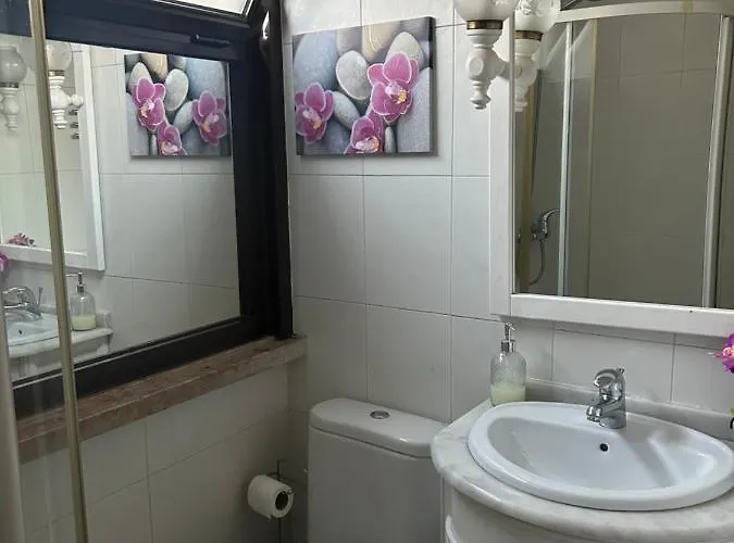 Alojamento Santa Catarina بيت ضيافة