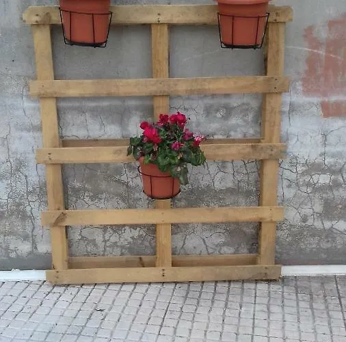 Alojamento Santa Catarina بيت ضيافة ألينكوير